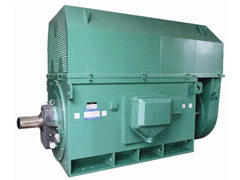 莱城Y系列6KV高压电机